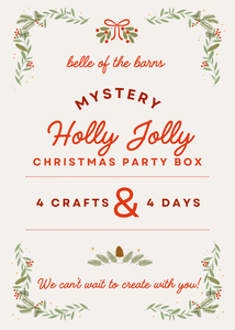 Mystery Christmas Party Box
