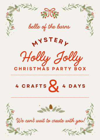 Mystery Christmas Party Box